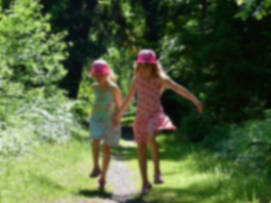 test_skov2